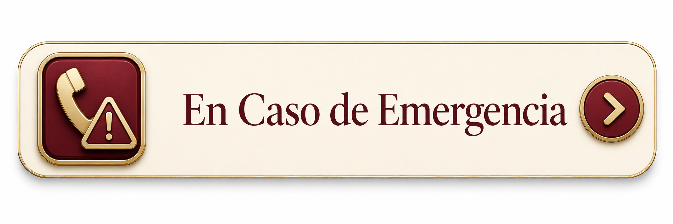 En Caso de Emergencia