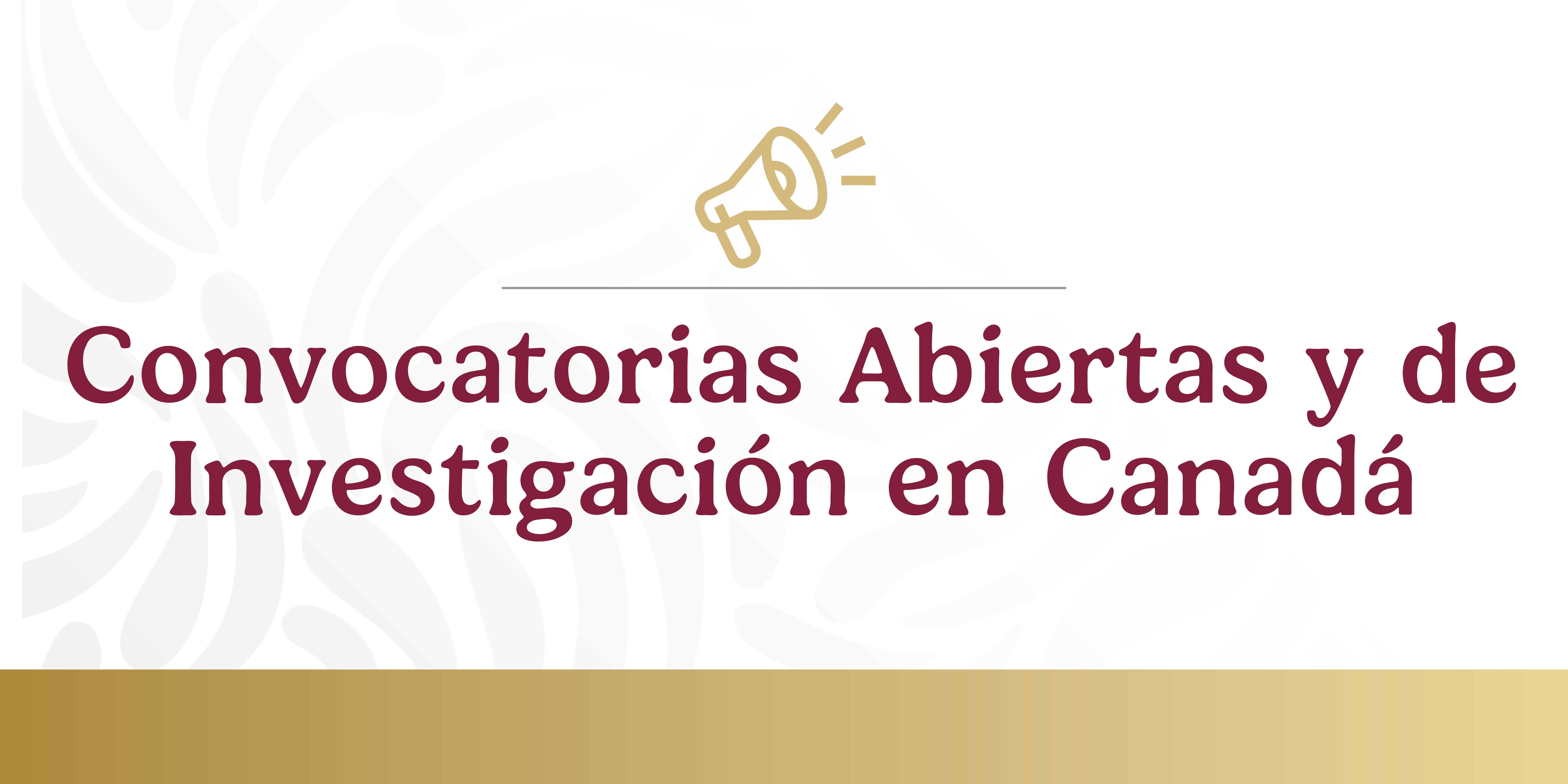 Convocatorias