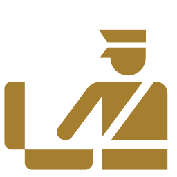 Icono Requisitos