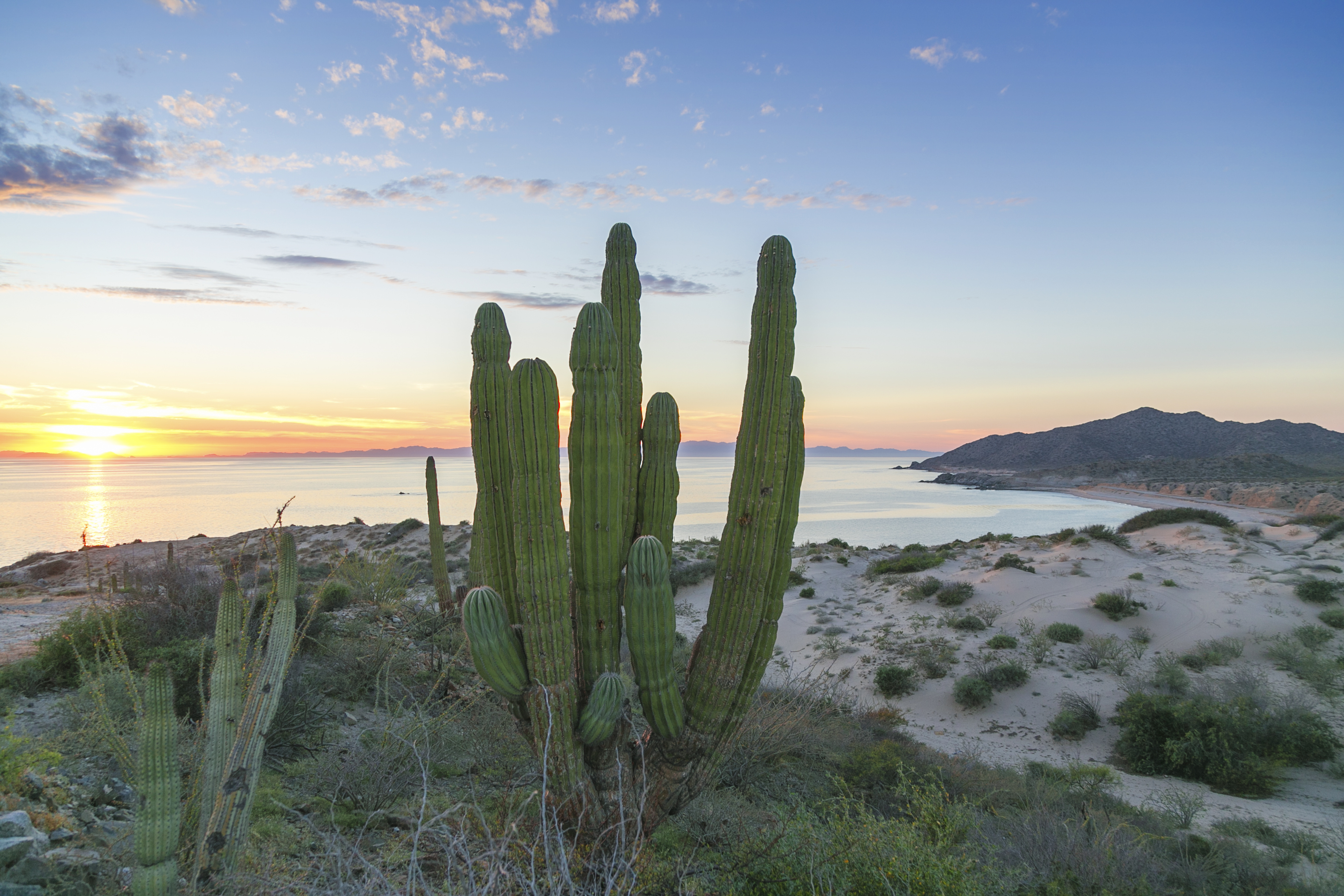 sonora tourism